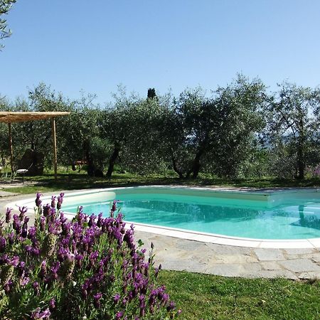 Agriturismo Il Castagnolino San Gimignano Ngoại thất bức ảnh