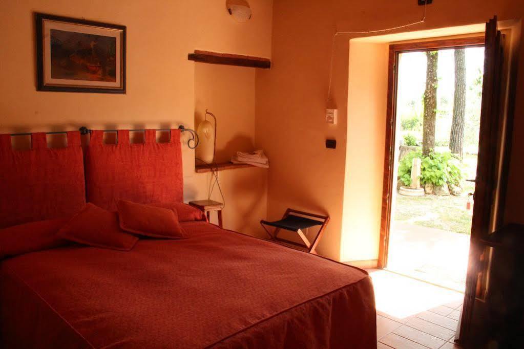 Agriturismo Il Castagnolino San Gimignano Ngoại thất bức ảnh
