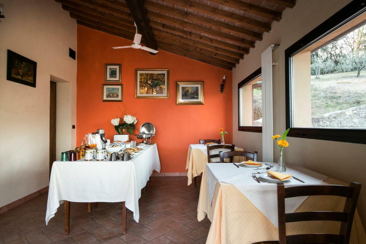 Agriturismo Il Castagnolino San Gimignano Ngoại thất bức ảnh